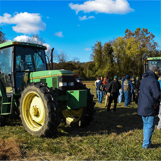 Breeding Better Cover Crops